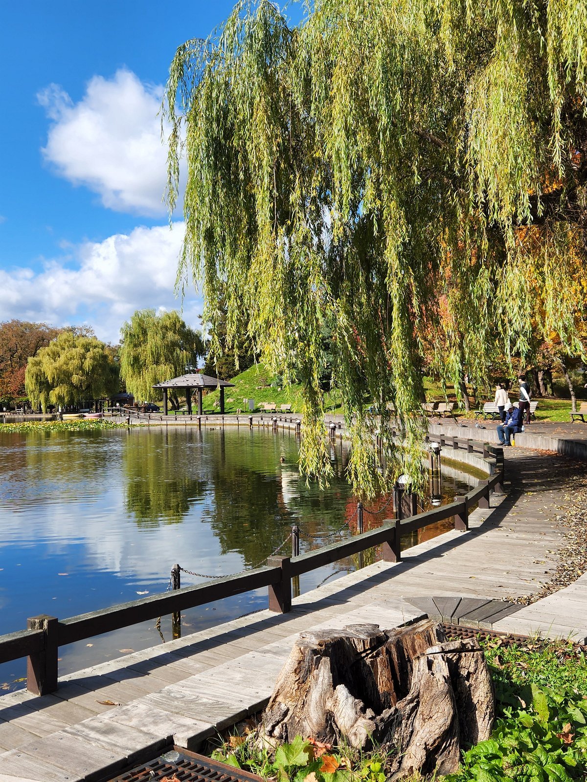 🏞️ 도키와 공원 (Tokiwa Park) 이미지 3